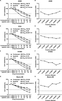 Combination of Cordycepin and Apatinib Synergistically Inhibits NSCLC Cells by Down-Regulating VEGF/PI3K/Akt Signaling Pathway